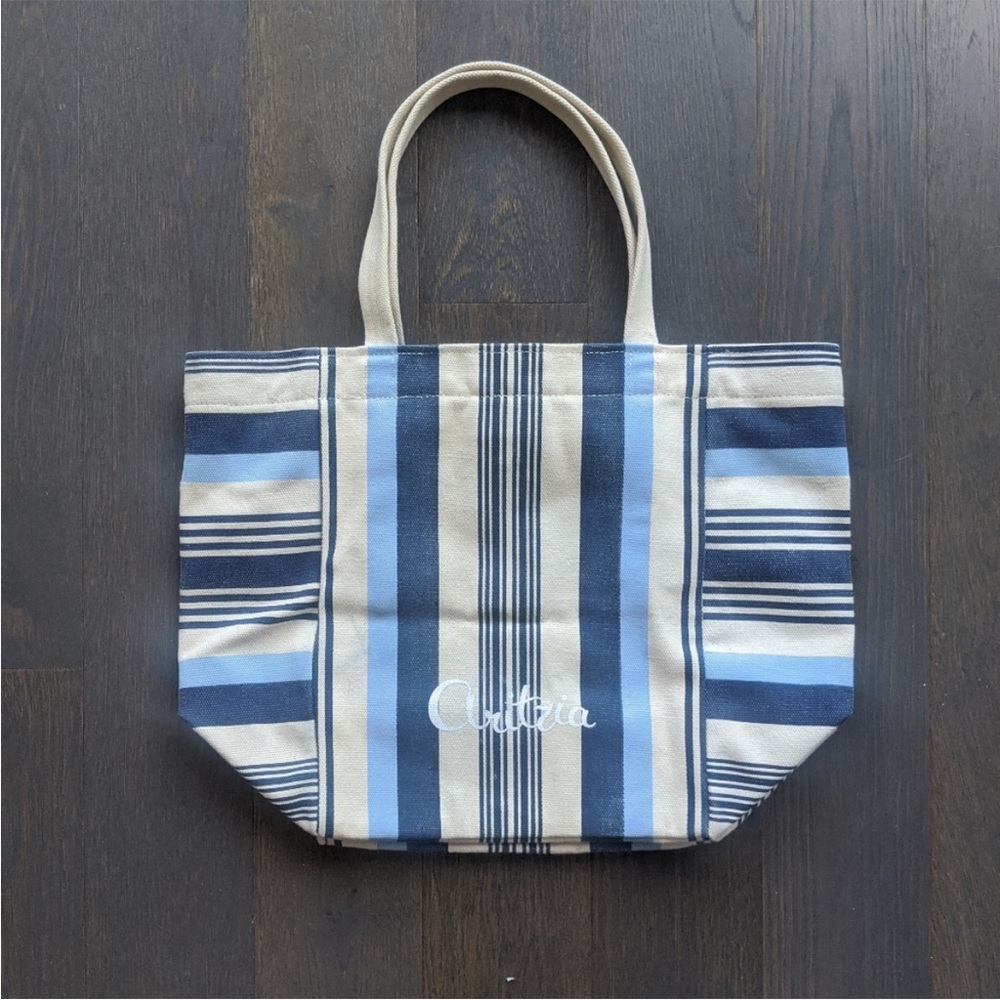 NWOT Aritzia Striped Canvas Beach Bag / Tote